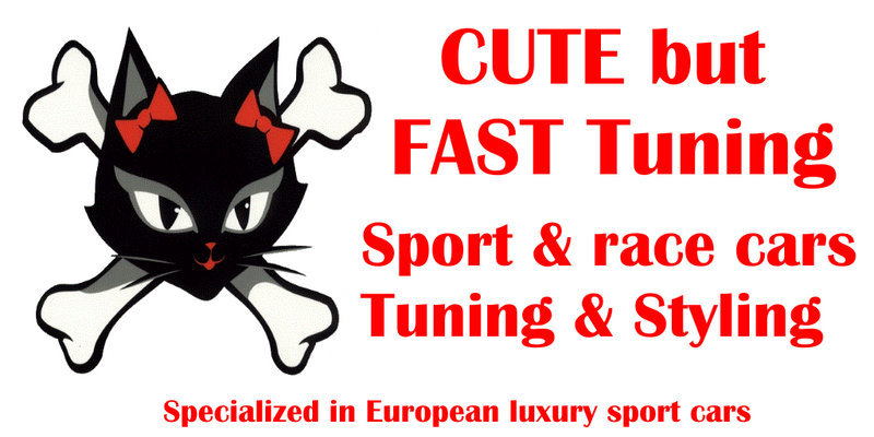 File:Cute but fast tuning sign.png